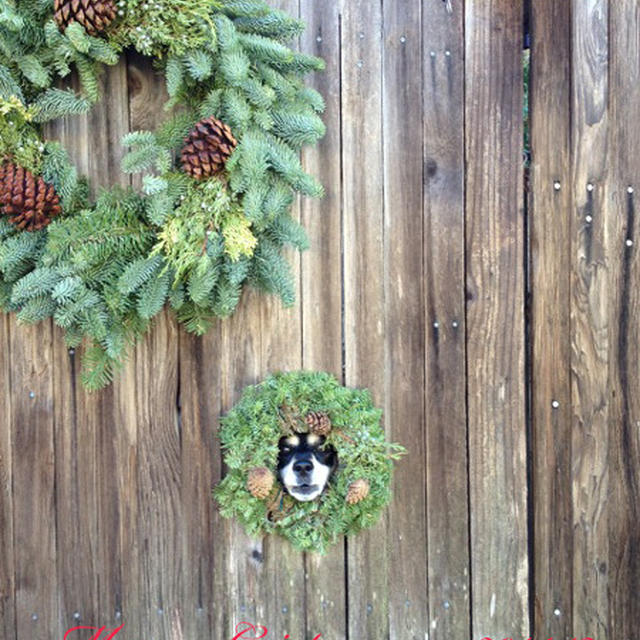 カリフォルニアからMerry Christmas