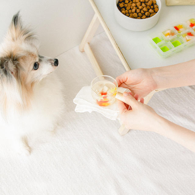 七夕にも☆ささみと夏野菜の犬用スープレシピ（手作り犬おやつ＆ドッグフードトッピング）