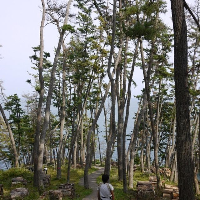 気仙沼：巨釜と折石。