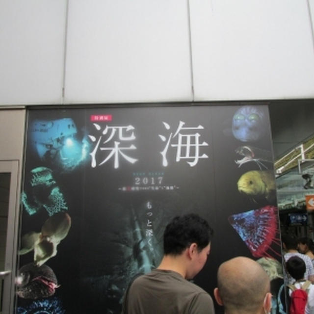 【展示会】深海２０１７に行ってきました！