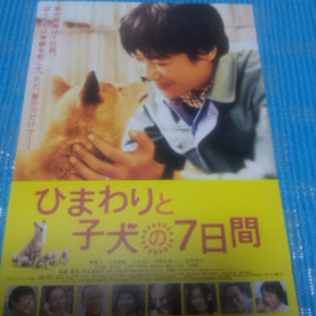 試写会　ひまわりと子犬と7日間
