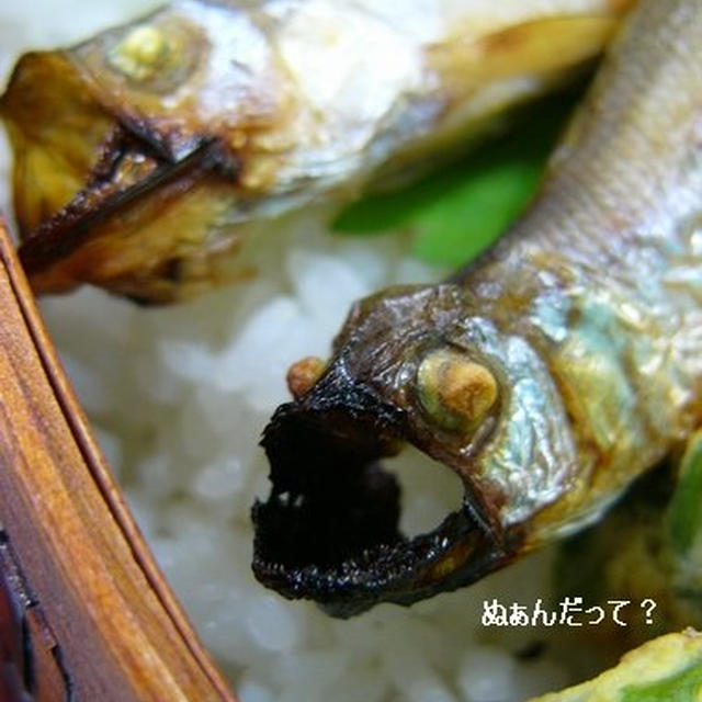 ヽ(ヽﾟﾛﾟ)!!!　ちょっと　ワイルドなお弁当♪