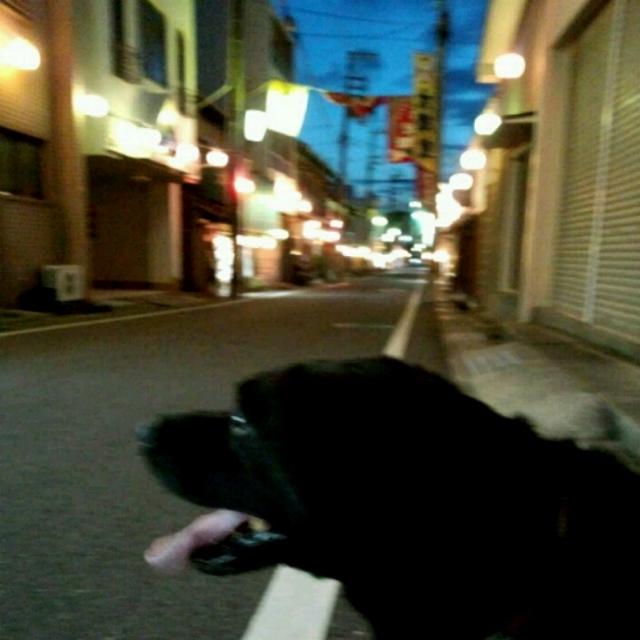 いよいよお祭りヽ(♥´д`♥)ノ