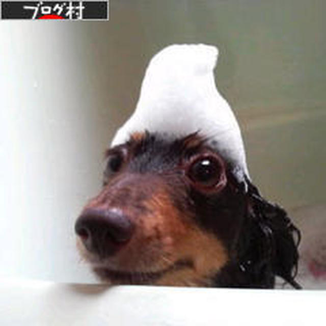 yahooポイント２０倍GET！！