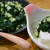 旬の野菜を食べよう♬夏の旬野菜モロヘイヤの常備万能ダレレシピ★