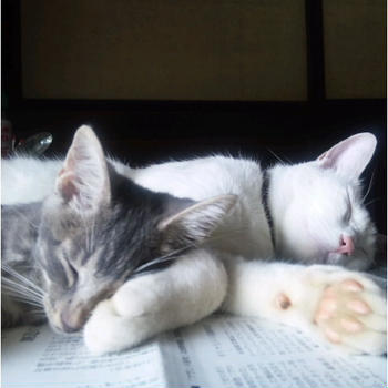 おじいちゃんの家