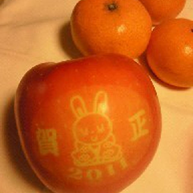 2010年、ありがとうございました。