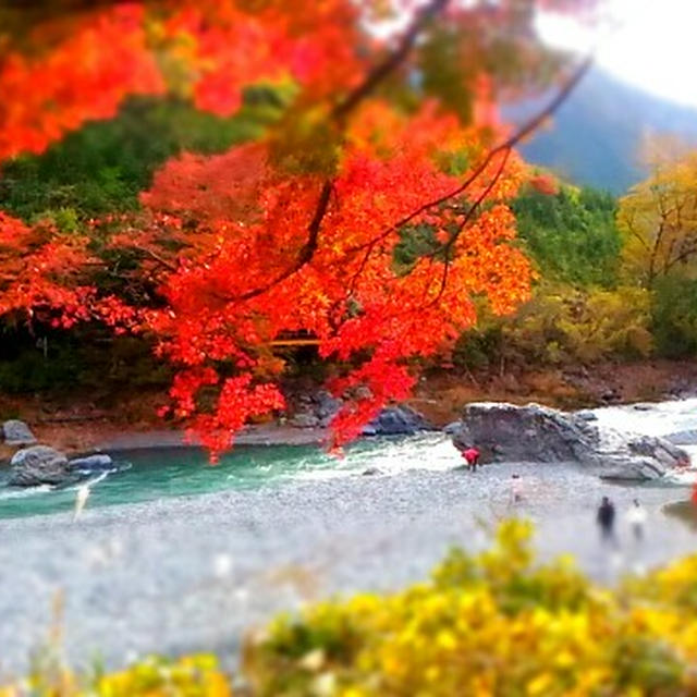 色とりどり♪御嶽渓谷の紅葉