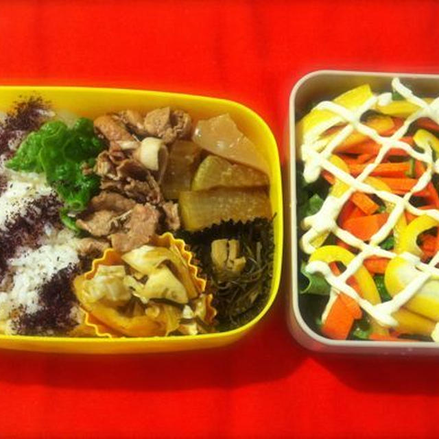 豚と大根の煮物弁当＋レタスとパプリカのサラダ。