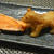 ・・・・クマです・・・・