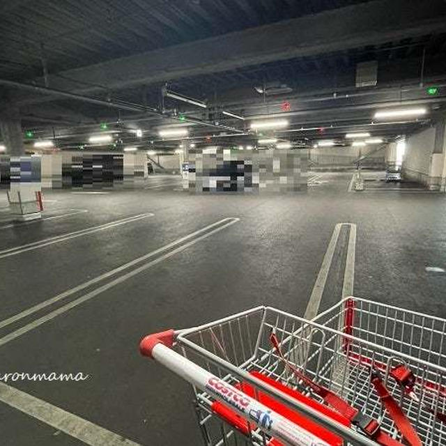 ＊コストコ＊これ絶対お得～～！地味系マストバイ商品～！明日まで～！
