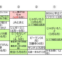 令和7年「春」の家庭菜園