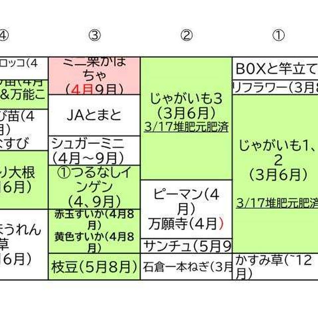 令和7年「春」の家庭菜園