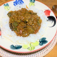 ＜刺激的な辛さ☆夏野菜のキーマカレー＞スパイス大使