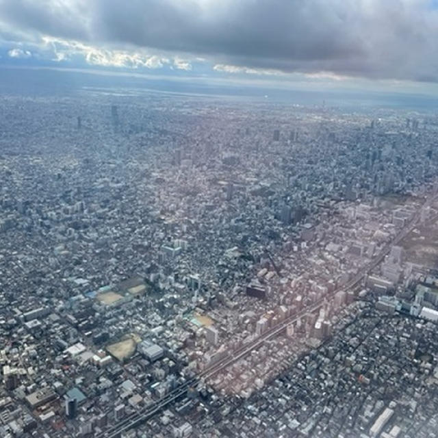 日常に戻りました。