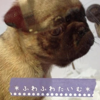 寝る前に。