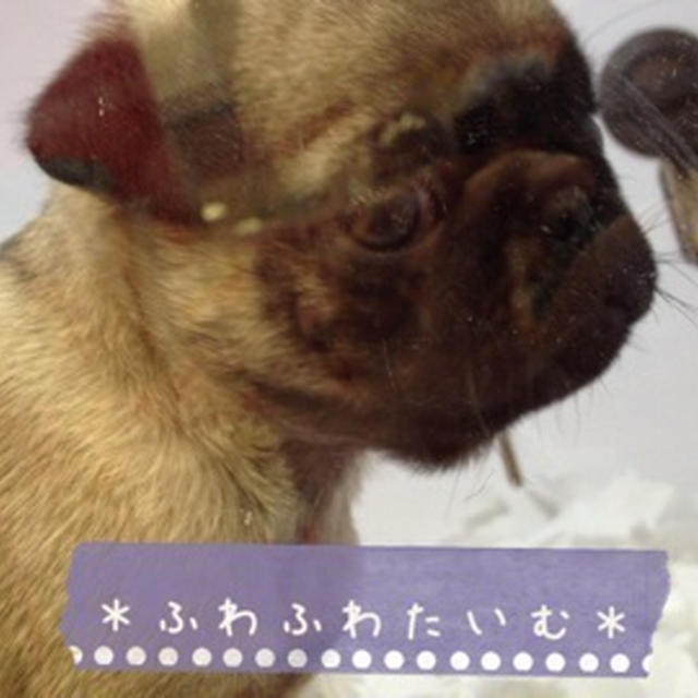 寝る前に。