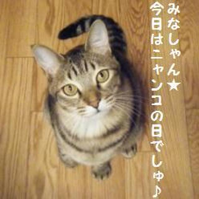 有難い戴きものと食べレポ♪
