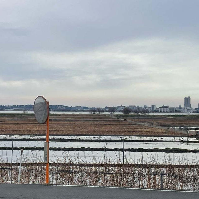 息子に「地味だなｗ」と、言われた場所はー！？