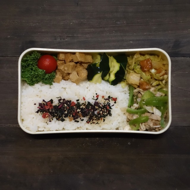 2025/6/17のパートナーの相棒のお弁当【#お弁当】【2162個目】