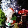 ☆ハロウィンから、クリスマスへ☆