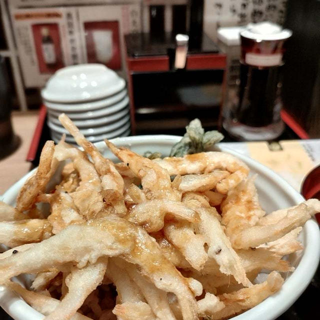 富山　白えび亭の白えび天丼