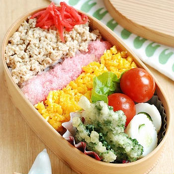 鶏そぼろ弁当【犬と生きる】