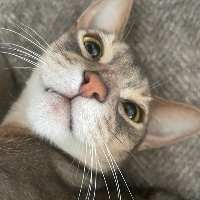 おはようぼくちん。起きましたかー？