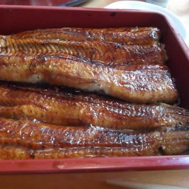 入園式が終わったーー☆と、美味しいうなぎ♪