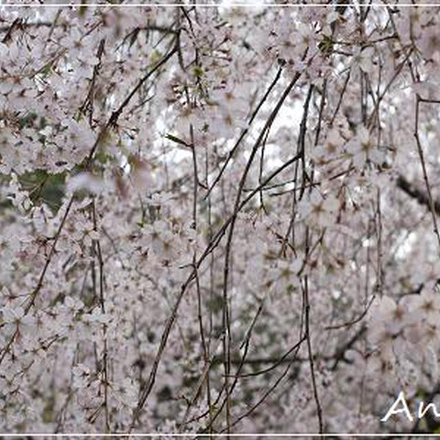 ☆新年度早々に…☆