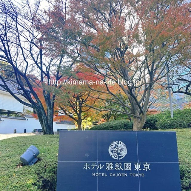 お江戸物語2023 始まり始まり〜！と　大切なお知らせ。