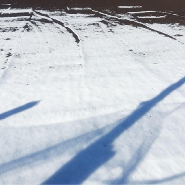 今だに雪があるよ