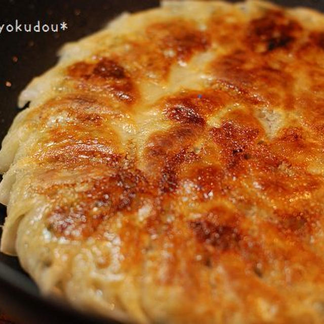 春キャベツたっぷり～焼き餃子定食
