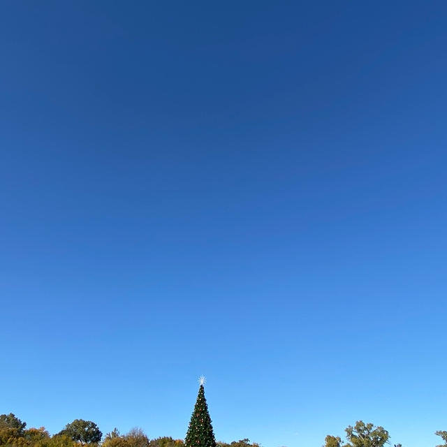 どこまでも広がる青い空　ダラス