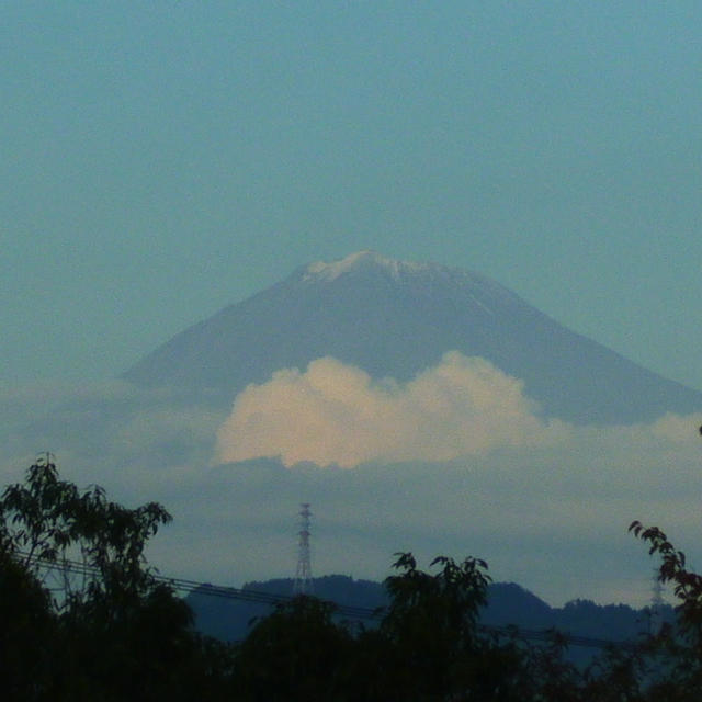 赤かぶ漬けとお弁当と富士山と。