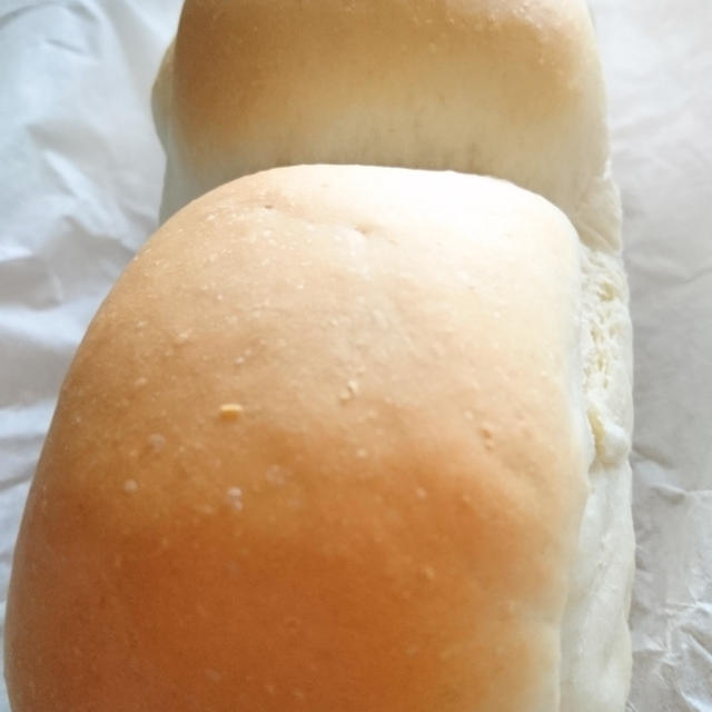 食パン
