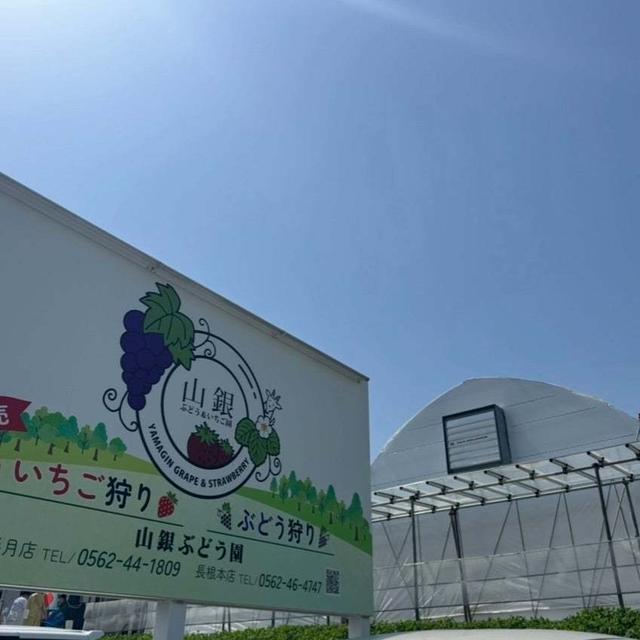 いちご狩りに行ってきました。の、話。