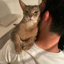 こんな甘ったるい猫は、なかなか珍しいかも（動画あり）