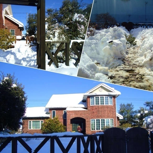 雪の事実