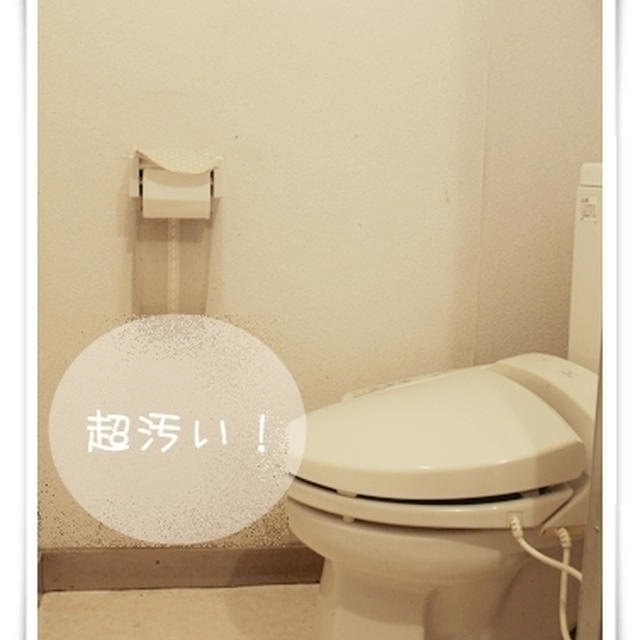 DIY＊トイレを板壁（腰壁）にプチリフォーム♪