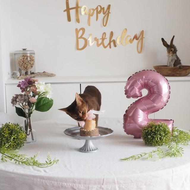 りす子、2歳のお誕生日会♪ あじさいのお花のお誕生日会♪