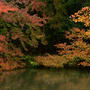 加茂山公園の水辺の紅葉