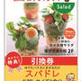 詰め放題！ワンコインランチ！スパドレクーポンでお得がいっぱい