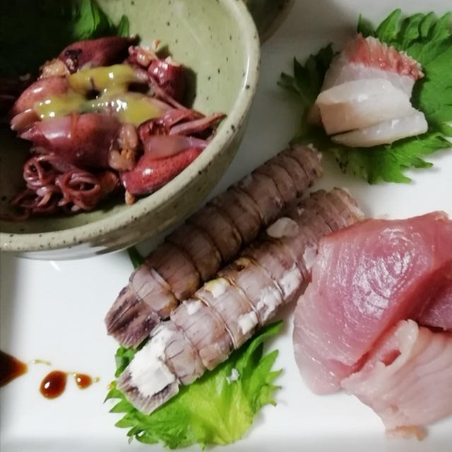 ホタルイカゆで美さん・・見てますか！シャコとホタルイカ！お造りで飲んだくれ！