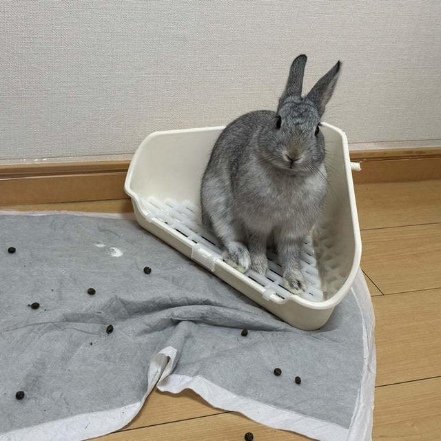 しばらく離れ離れ