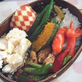 回鍋肉と高野豆腐の玉子とじ弁当。同じ姿勢で眠るにゃんこ達