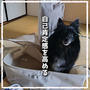 自分を褒める日