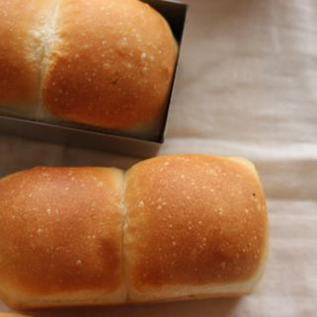 ミニ食パン