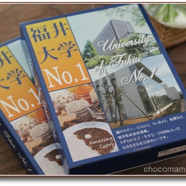 福井大学No.1カレー