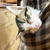 Pocket 仔猫３